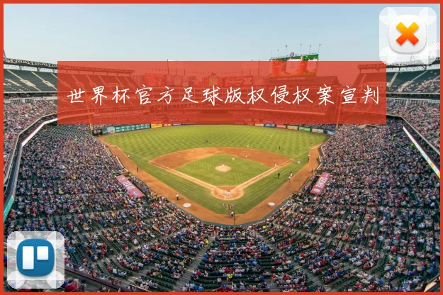 世界杯官方足球版权侵权案宣判